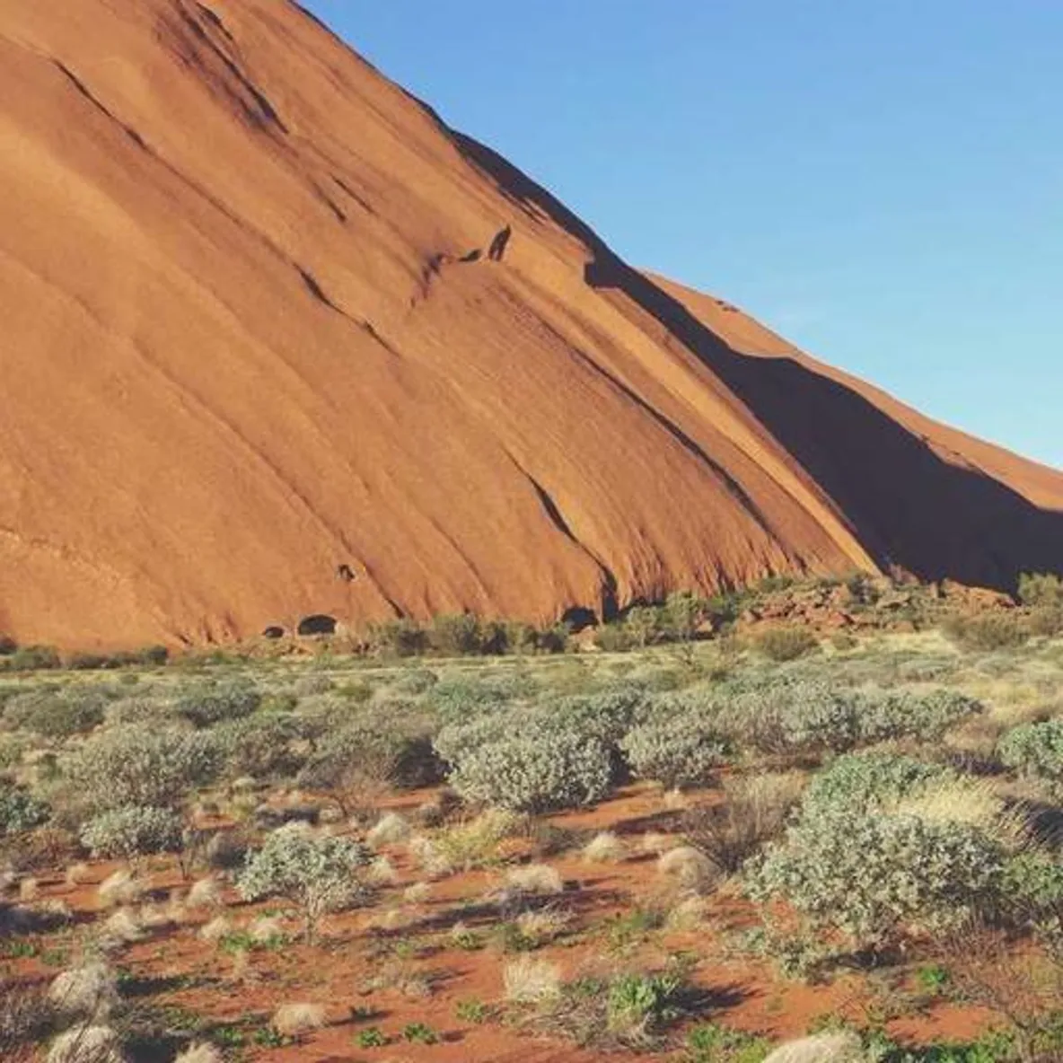 Emma Danielsen's Avatar