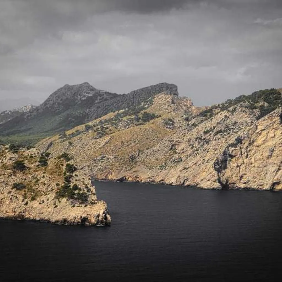 William Poole's Avatar