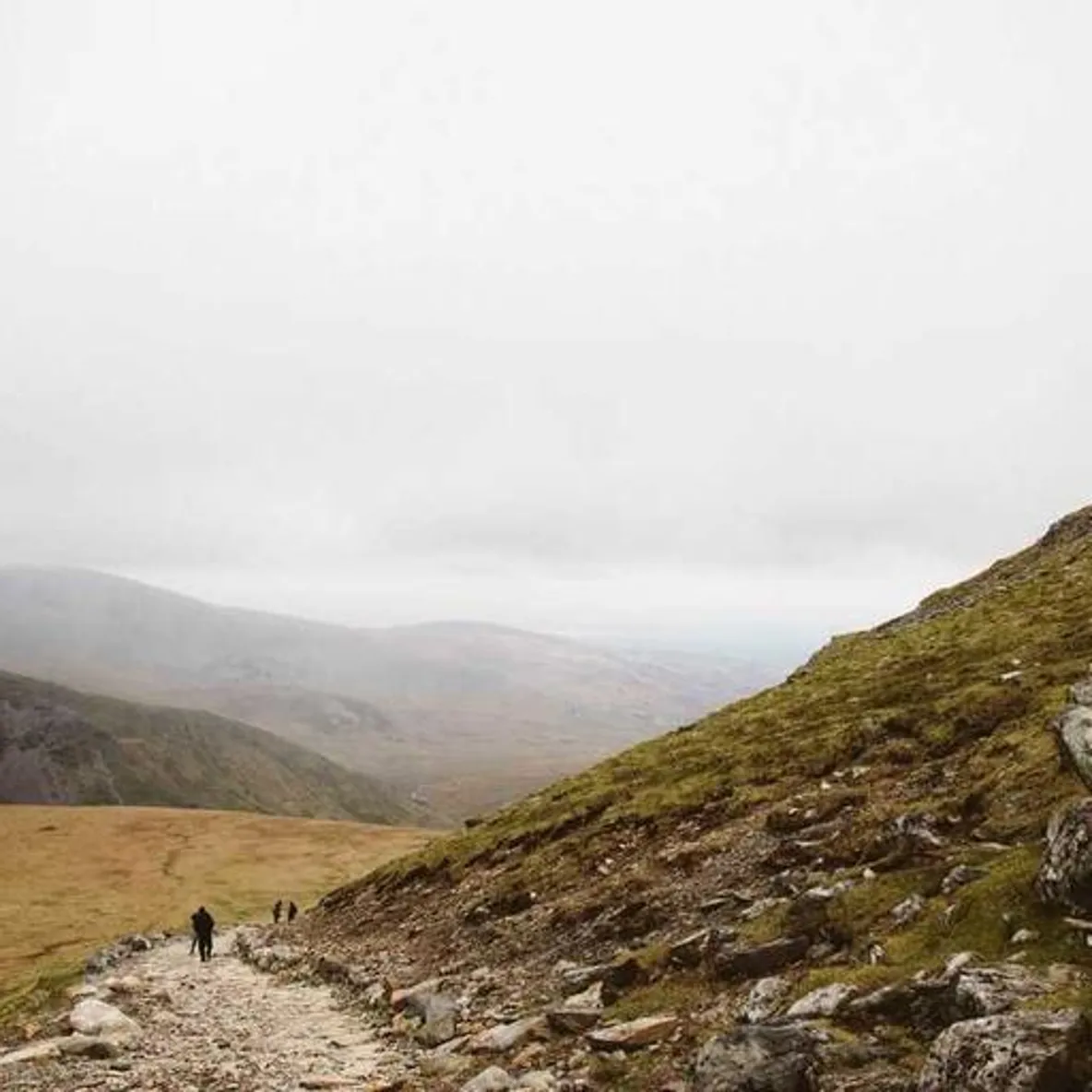 Lukas Schneider's Avatar