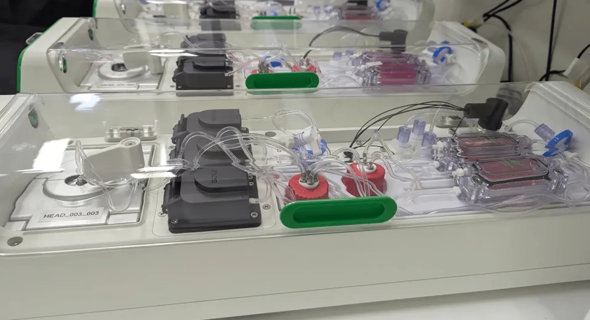 Source: Cortical Labs