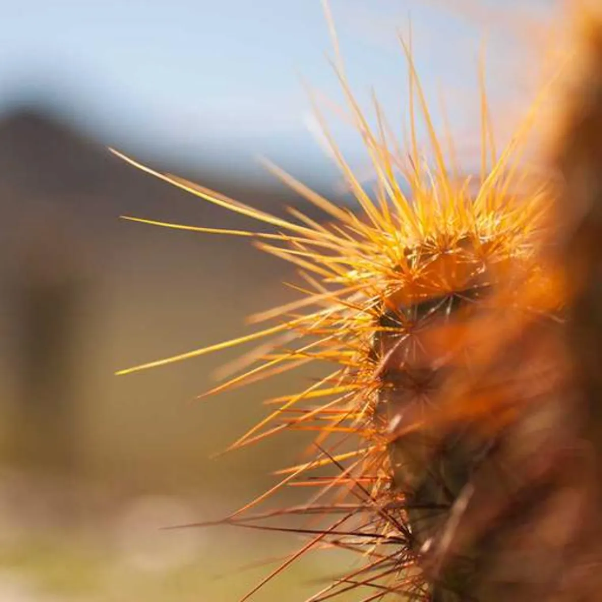 Edward Martin's Avatar