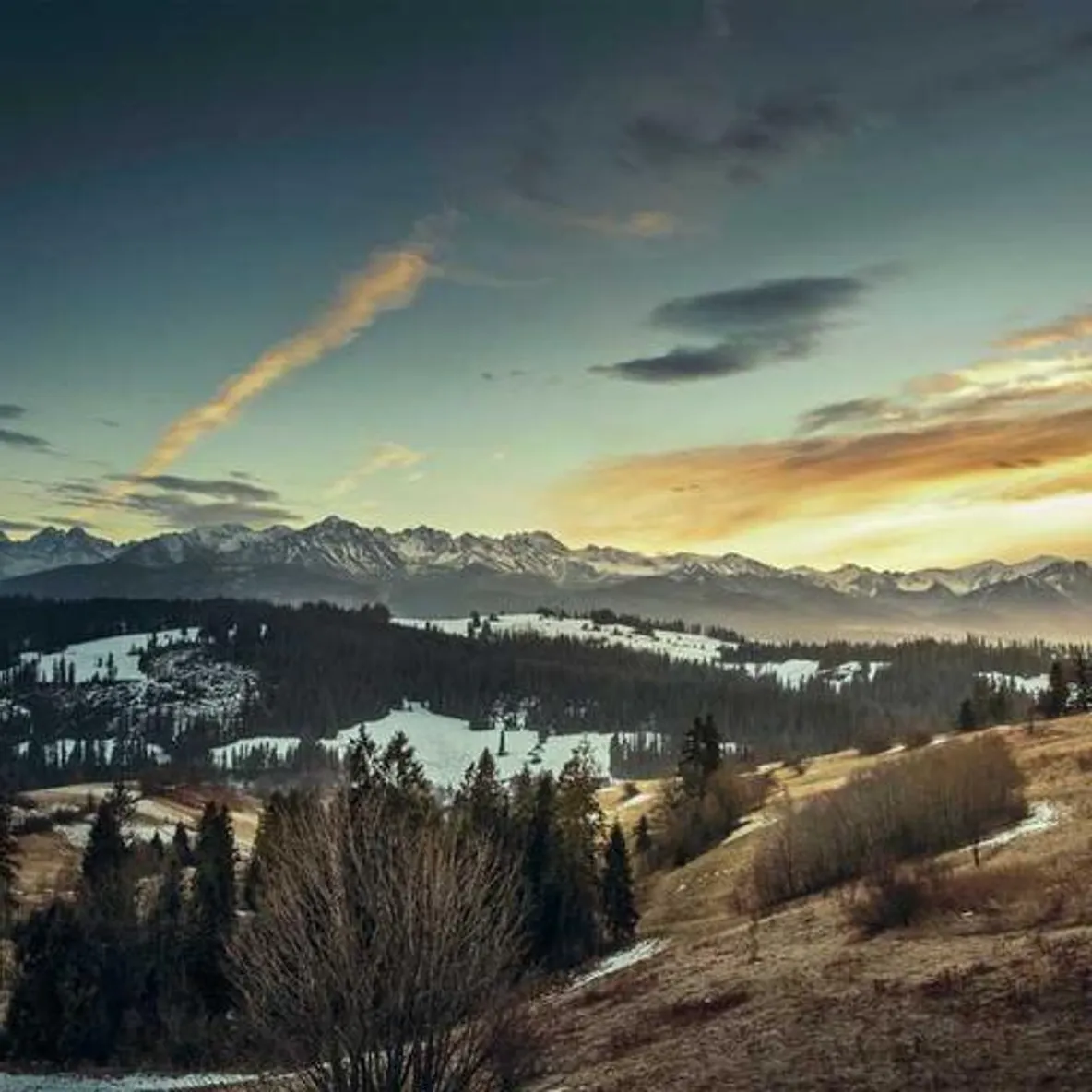 Sissel Jenssen's Avatar