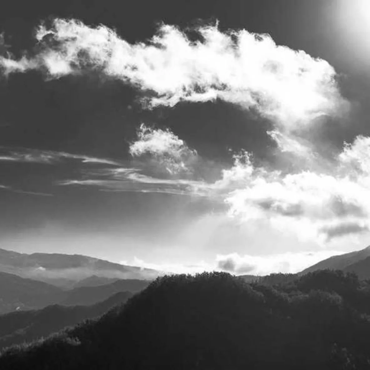 Amy Delgado's Avatar