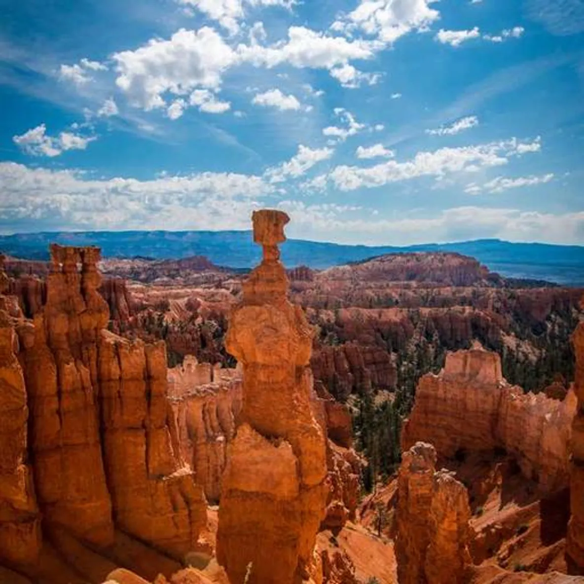 Travis Collins's Avatar